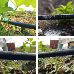 Système d'irrigation <span class=keywords><strong>goutte</strong></span> <span class=keywords><strong>à</strong></span> <span class=keywords><strong>goutte</strong></span> agricole OEM/ODM pour un hectare - Ruban et tuyaux d'irrigation <span class=keywords><strong>goutte</strong></span> <span class=keywords><strong>à</strong></span> <span class=keywords><strong>goutte</strong></span> en plastique - Product Image 6