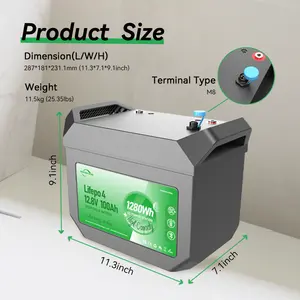 OEM Rechargeable Deep Cycle BMS LiFePO4 BaterIa De Litio De 12V 100Ah 200Ah 300Ah Lithium Ion Energy Storage Battery