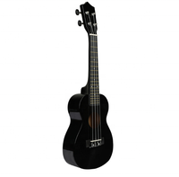 Pasokan Langsung Pabrik Alat Musik Ukulele Kayu Poli Ukulele Warna-Warni 21 Inci