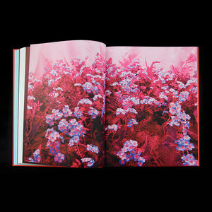 Collezione di Libri con Copertina Rigida in Tessuto di Lino Rosso con Logo Personalizzato, Stampa Offset su Cartone con Lavorazione Artistica in Rilievo - Product Image 6