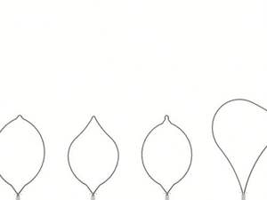 Snare de Endoscopia Veterinária Descartável, Broncoscópio para Polipectomia com <span class=keywords><strong>CE</strong></span> - Product Image 3