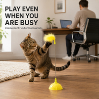 Bâton de jeu pour chat rétractable, léger, résistant aux morsures, avec logo personnalisé, plume lumineuse et clochette, pour l'entraînement et le divertissement des chatons en intérieur