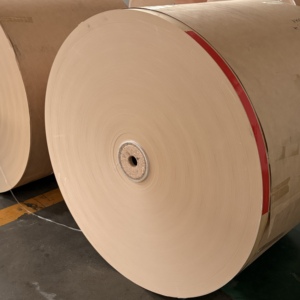 Papier de base enduit de PE de qualité alimentaire, rouleau jumbo, imperméable, pour la fabrication de gobelets en papier jetables et de bols à salade - Product Image 4