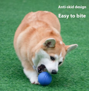 2026 HOT Eco-Friendly Solid Rubber Bite Toy Ball Pet Dog Outdoor Training Bouncing Ball Retrieve and <b>Throwing</b> Exercise - Product Image 4
