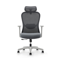 Chaise de bureau pivotante ergonomique moderne et contemporaine en maille, réglable, pour cadres professionnels