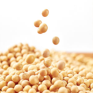 Salsa cinese autentica salsa di soia di qualità Gourmet il segreto per deliziosi piatti cinesi - Product Image 6