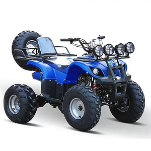 JUNCHI Little Bull Quad Buggy, Cuatro Ruedas, Construcción de Acero, Todoterreno, Transmisión Automática, 60V/48V, 300kg, 1 Año de Garantía - Product Image 1