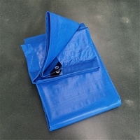 Bâche imperméable en plastique de polyéthylène de bâche résistante bleue de prix usine pour la protection de matériaux de construction