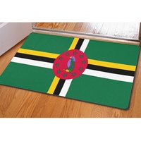 Tapis de sol rectangulaire lavable avec drapeau national, support en caoutchouc qui retient la boue et les débris, paillasson pour intérieur et extérieur