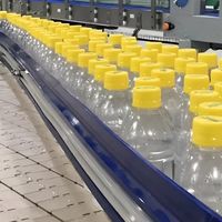 Projet clé en main A-Z, production d'eau minérale en bouteille entièrement automatique de 500 ml