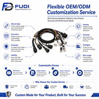 Équipement d'assemblage de câbles électroniques en PVC pour robots de fabrication, adaptateur de faisceau de câblage interne personnalisé, cuivre étamé 300V