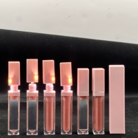 Gloss à lèvres longue tenue personnalisé avec votre logo, miroir LED, couleur changeante rose, huile repulpante pour les lèvres, rouge à lèvres à marque privée, maquillage pour les lèvres