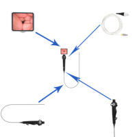 Caméra d'endoscope flexible, nasopharyngoscope, laryngoscope, bronchoscopie, cystoscope, otoscope, endoscope 2.8/3.8/4.8/5.8 mm