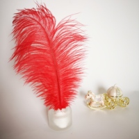 Großhandel Hot Sale Big Original Straußen feder Gelb Rosa Lila Weiß Straußen feder Für Home Party Deco