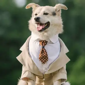 Niño perro ropa esmoquin caniche Schnauzer Corgi Shiba Inu Husky Labrador Golden Retriever gran perro ropa traje de boda