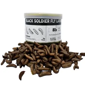 Tavuk vahşi kuş ve balık yemi çin Qingdao balık gıda için kurutulmuş BSF larvalar siyah asker sinek Mealworm solucan üst sınıf sınıf 40%