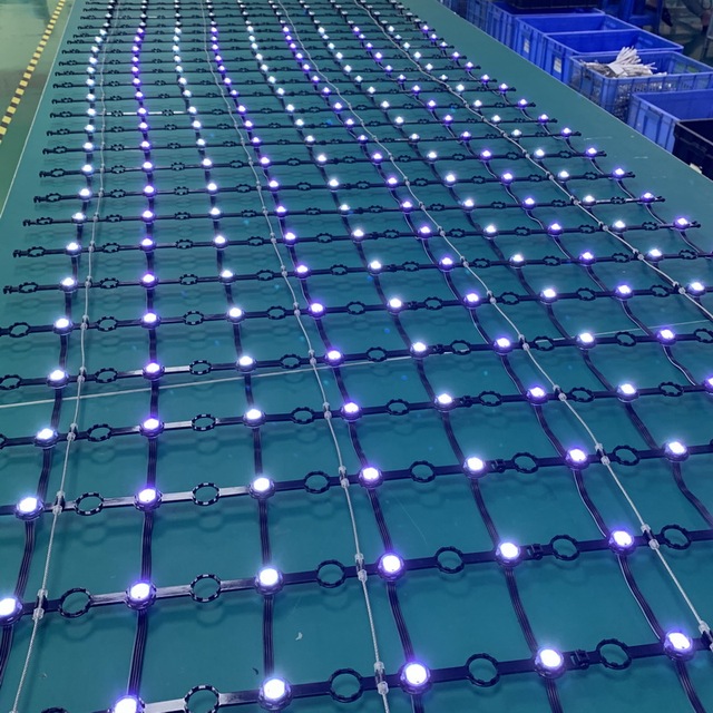 2025 Hot Sale P30/P40/P50/P60/P80/P100 Transparent Led Display Screen Led Pixel Screen