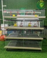 Nouvelle cage à poulettes H-Type en treillis métallique anti-corrosion pour 240 poussins de 0 à 6 semaines, cage de poulailler en batterie avec alimentation complète