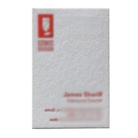 Carte de visite de luxe personnalisable avec impression offset à effet pressé, finition gaufrée, option carton