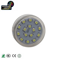 Lampe LED d'attraction colorée E14 20MM AC24V pour décoration de parcs d'attractions et parcs à thème, 20 pièces, 5000K CRI 80 Ra 80