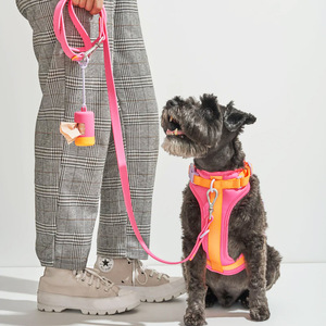 Adjustable Durable <b>Dog</b> <b>Leash</b> With Chest Strap For Small Medium Large Breeds Anti Tangling Non Irritating Pet Harness - Product Image 1