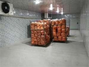 Grote Koude Opslag Project Bouw Hoge Kwaliteit Bevroren Koude Opslag/Koude Ruimte Voor Vlees En Vis - Product Image 2
