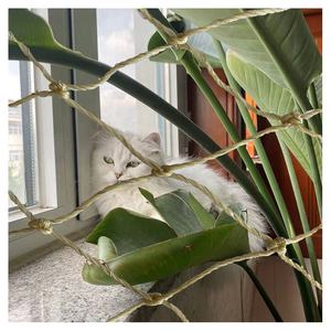 गर्म बिक्री पालतू संरक्षण विरोधी पक्षी कबूतर सभी बालकनी बाड़ नायलॉन बिल्ली सुरक्षा तंत्र - Product Image 3