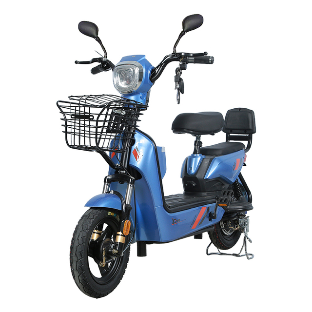 Fat Tyre Electric E-Bicycle Electric Cycle Mountain Bike