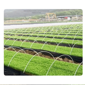 Factory Supply TOPFRP Fiberglass Rods for Greenhouse Hoop Use High Strength Anti-UV Customizable - Product Image 3