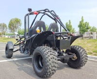 3kw, Buggy et Go Kart électriques à 4 roues avec batterie au Lithium