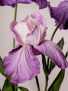L-029 Maßgefertigte Handgemachte Riesige Organza-Papier-Irisblume für Hochzeitsdekoration Hintergründe Event-Ausstellungsdekoration - Product Image 6