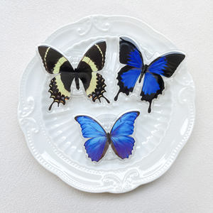 حوامل هواتف أكريليك قابلة للتعديل بالجملة، مقابض للهواتف المحمولة، مثبتات قابلة للطي - Product Image 3