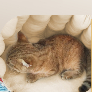 럭셔리 소형 고양이 및 개 소파 애완 동물 침대 봉제 인조 모피 둥지 솔리드 & 동물 인쇄 패턴 겨울 여행 기능 작은 애완 동물 - Product Image 6