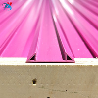 Perfil de extrusión de PVC profesional personalizado para estructuras de construcción, puertas de congelador y refrigerador.