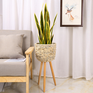 Cesta de <span class=keywords><strong>mimbre</strong></span> <span class=keywords><strong>con</strong></span> soporte para plantas, juego de soporte para plantas de Bambú - Product Image 2