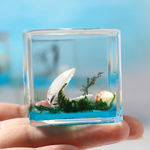Prensapapeles de Resina Acrílica con Animales Marinos en su Interior, Cubo de 4 cm, Concha, Estrella de Mar, Caballito de Mar, Decoración, Adornos de Escritorio - Product Image 6