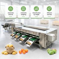 Komkommer Kokosnoot Kiwi Kleine Maat Auto Abrikoos Granaatappel Fruit Maat Sorteermachine Rol Sorteer- en Graderingsmachine