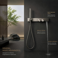 Ensemble de douche mural en acier inoxydable à profil mince pour petite salle de bain, panneau de douche minimaliste avec barre coulissante pour douchette, double fonction, idéal pour hôtels