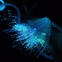 Kit de 500 Luces LED de Fibra Óptica para Techo de Auto, Efecto Cielo Estrellado, Decoración para Auto y Hogar