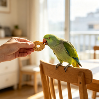 Nourriture pour perroquets, friandises pour perroquets, biscuits pour le soin des dents, accessoires de récompense pour l'entraînement des oiseaux, vente en gros et personnalisable, OEM, ODM