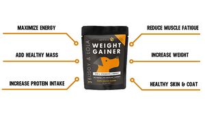 Suplemen hewan peliharaan Logo pribadi suplemen hewan peliharaan Protein tinggi bubuk penebal otot anjing suplemen pembuat otot - Product Image 5