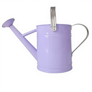 <b>Wholesale</b> Indoor/Outdoor Metal <b>Watering</b> <b>Can</b> for Garden Use for Outdoor and Indoor <b>Watering</b> - Product Image 1
