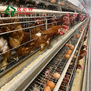 Nuovo A-tipo gabbia di batteria in acciaio per pollame e pollo <span class=keywords><strong>quaglia</strong></span> per uso domestico attrezzature animali automatiche per allevamento gabbia gallina - Product Image 4