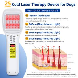 เครื่องเลเซอร์อินฟราเรดเย็น 2500 มิลลิวัตต์ สำหรับสัตว์เลี้ยงหลังการผ่าตัด บรรเทาอาการเอ็นข้อศอกฉีกขาด หมอนรองกระดูกเคลื่อน และฟื้นฟูอย่างรวดเร็ว - Product Image 2