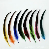 Plumes de coq en gros 35-40 cm (14-16 po) – Plumes de queue de coq en vrac, teintes et blanchies, couleur naturelle, pour costumes de carnaval et artisanat