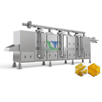 Ligne de production de snacks extrudés 2D 3D en acier inoxydable 304, mélangeur automatique de riz Pani Puri, produits céréaliers, aliments