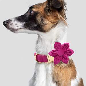 XL y juego de correa con flor, collar de perro ajustable Rosa rojo Veet boda cumpleaños niña para perros grandes - Product Image 2