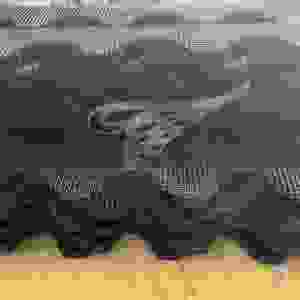 แผ่นตาข่ายป้อง<span class=keywords><strong>กัน</strong></span><span class=keywords><strong>นก</strong></span>สำหรับหลังคา<span class=keywords><strong>กระเบื้อง</strong></span>สเปน ขนาด 5 ฟุต x 8 นิ้ว หนา 1.5 มม. สำหรับแผงโซลาร์เซลล์  ทำจากเหล็กชุบสังกะสี พร้อมติดตั้ง ป้อง<span class=keywords><strong>กัน</strong></span><span class=keywords><strong>นก</strong></span>ตี  เคลือบ PVC - Product Image 2