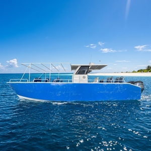 Catamarán de Aluminio de 32 pies (9.50 m) para 12 Pasajeros, Barco Turístico, Barco de Transporte, Barco para Excursiones Diurnas - Product Image 2