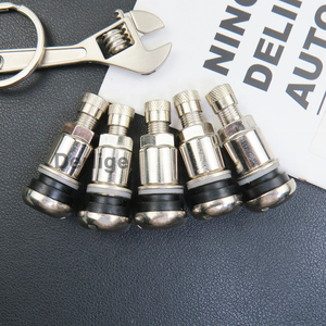 Tige de <span class=keywords><strong>valve</strong></span> de pneu sans chambre à air en métal argenté Valves <span class=keywords><strong>Schrader</strong></span> de jante universelles MS525 TR525 - Product Image 2